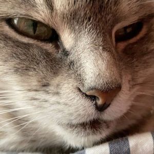 Meet your Posher, Charles